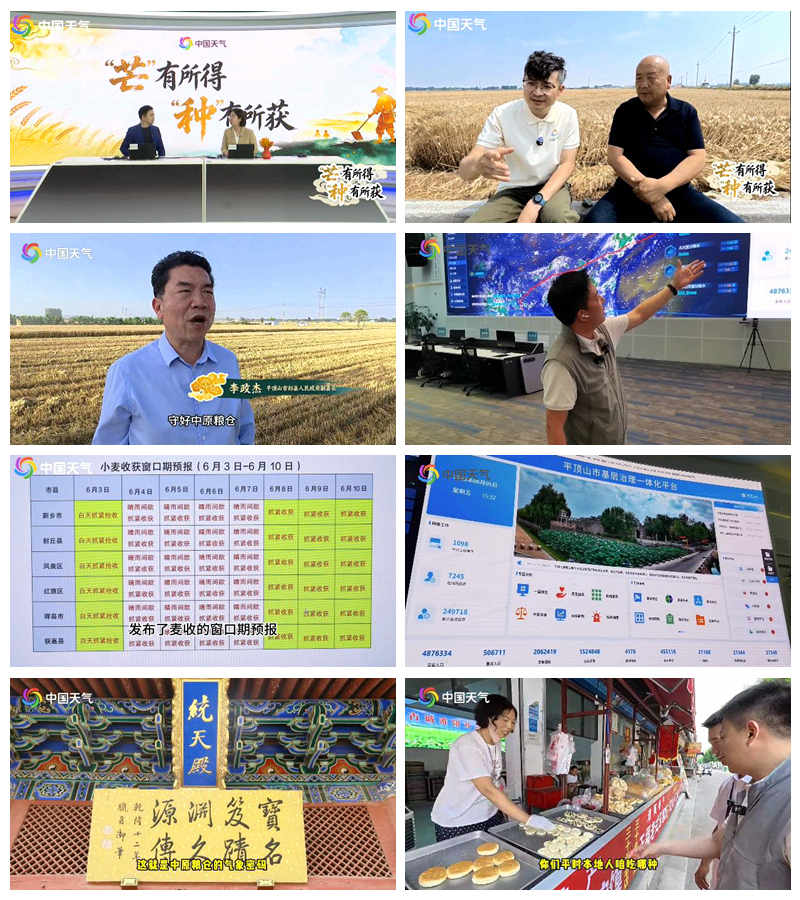 国省联动护夏收 节气赋能展新韵 &mdash;&mdash;华风集团联合河南省气象局开展芒种节气全媒体服务